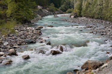Whistler and Shannon Falls day tour